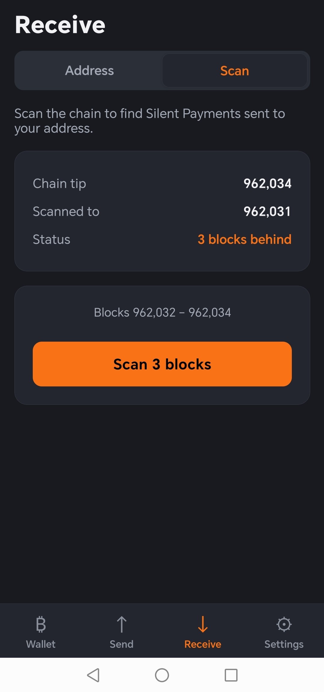 The Scan screen showing the chain tip, the height scanned to, and a button to scan the remaining blocks